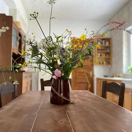 πέτρινο σπίτι με κήπο και θέα στον ελαιώνα, Ii Appartement