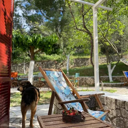 Appartement πέτρινο σπίτι με κήπο και θέα στον ελαιώνα, Ii